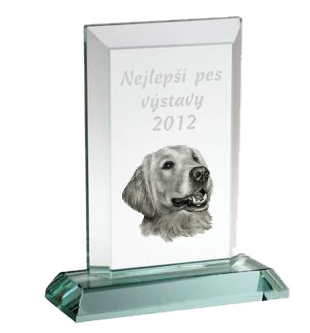 Skleněn&aacute; trofej s lesrov&yacute;m grav&iacute;rov&aacute;n&iacute; Va&scaron;eho textu nebo loga
