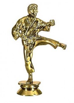 Poháry.com® Karate muž F005 zlato