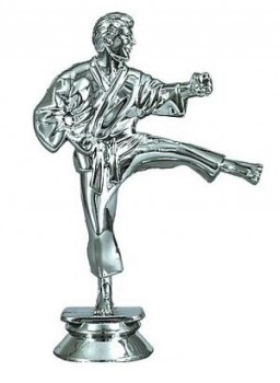 Poháry.com® Karate muž F005 stříbro