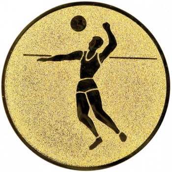 Poháry.com® Emblém beach volejbal zlato 25 mm