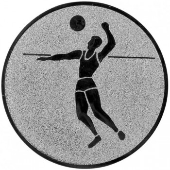 Poháry.com® Emblém beach volejbal stříbro 25 mm