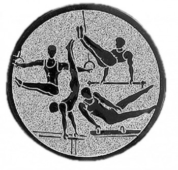 Poháry.com® Emblém gymnastika víceboj muž stříbro 25 mm