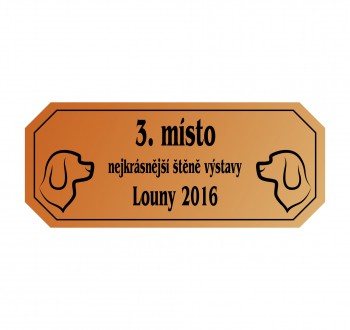 Poháry.com® Štítek laserový L02 50 x 15 mm bronz