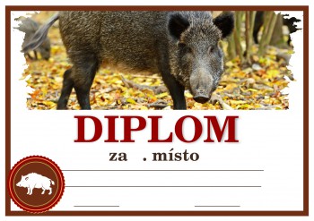 Poháry.com® Diplom divočák D145